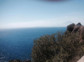 La Bouganville